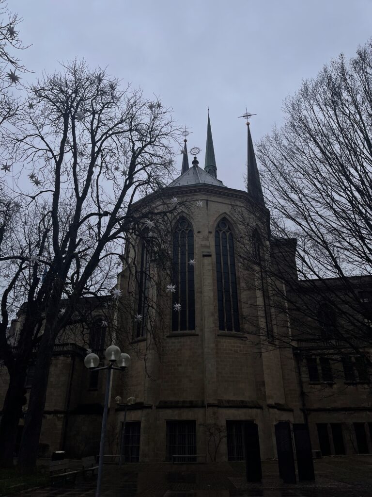 VDP - IMG_2998-2-768x1024