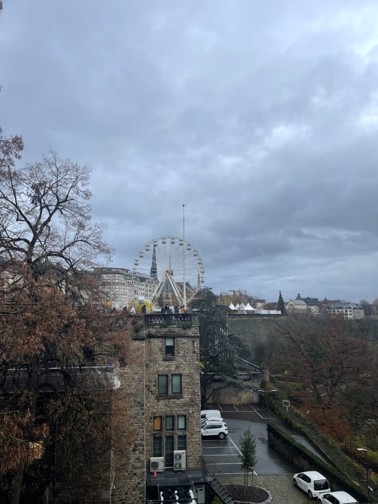 VDP - IMG_3003-2-768x1024